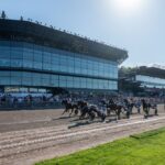 Elitloppet 2025 odds - bäst odds på Elitloppet vinnare & odds tips!